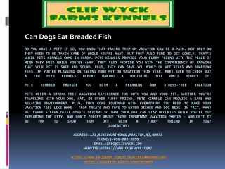 Can Dogs Eat Breaded Fish