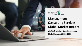 Management Consulting Services Market By Type, By Organization Size, By Industry Vertical, By End User, Regional Global