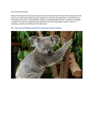 lone pine koala sanctuary