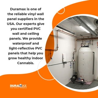 Yield Better Quality Indoor Cannabis by Installing PVC Wall and Ceiling Panels