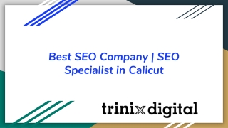 Best SEO Company | SEO Specialist in Calicut