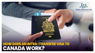 How does an Intra-transfer visa to Canada work?