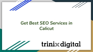 Get Best SEO Services in Calicut