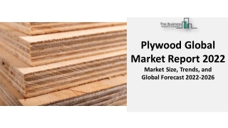 Plywood Market 2022 : Trends, Industry Share, Key Players And Forecast 2031