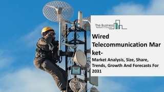 Wired Telecommunication Carriers Market 2022