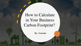 How to Calculate in Your Business Carbon Footprint? ​