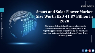 Smart and Solar Flower Market Size, Competitive Landscape, Revenue Analysis, 203