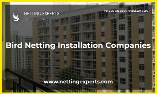 Bird Netting installation companies In Pune