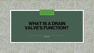 What is a drain valve’s function?