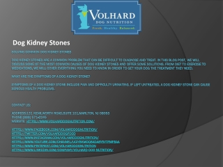 Dog Kidney Stones