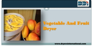 Vegetable And Fruit Dryer