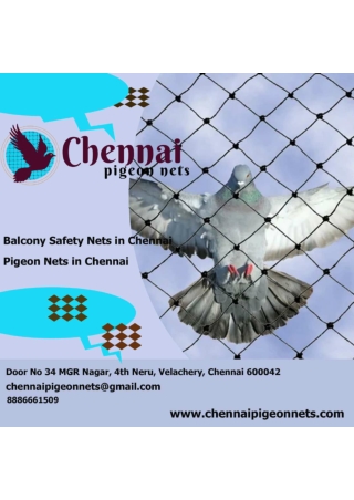 Pigeon Nets in Chennai