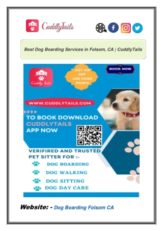 Best Dog Boarding Services in Folsom, CA | CuddlyTails