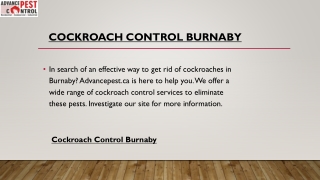 Cockroach Control Burnaby