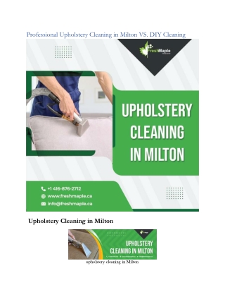 Professional Upholstery Cleaning in Milton