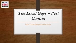 Recommended Pest Control Melbourne | Thelocalguyspestcontrol.com.au
