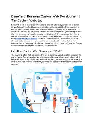 Benefits of Business Custom Web Development | The Custom Websites