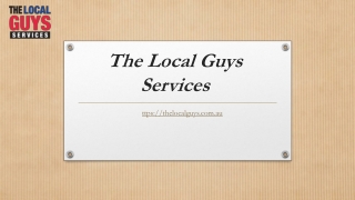 Franchise for Sale Gold Coast | Thelocalguys.com.au