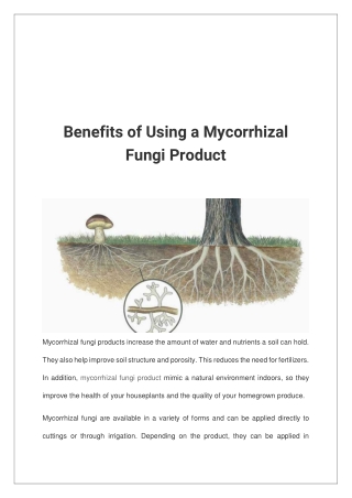 Benefits of Using a Mycorrhizal Fungi Product