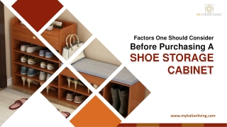 Factors One Should Consider Before Purchasing A Shoe Storage Cabinet