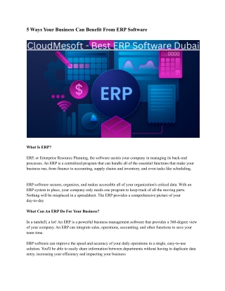 Best Erp Software in Dubai
