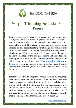 Why Is Trimming Essential For Trees