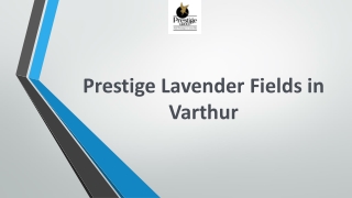 Prestige Lavender Fields in Varthur