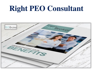 Right PEO Consultant