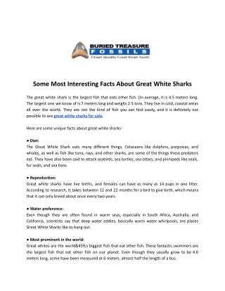 Some Most Interesting Facts About Great White Sharks