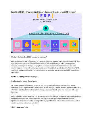 Best Erp software in UAE