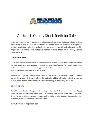 Authentic Quality Shark Teeth for Sale