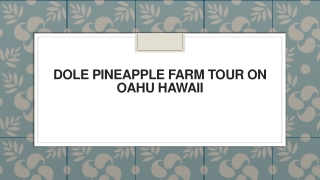 Dole Pineapple Farm Tour on Oahu Hawaii