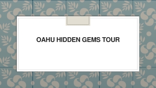Oahu Hidden Gems Tour