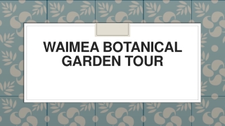 Waimea Botanical Garden Tour
