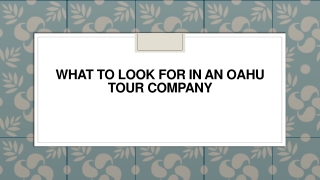 What to Look for in an Oahu Tour Company