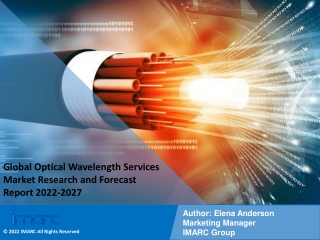 Optical Wavelength Services Market Report PDF, Industry Trend, Analysis