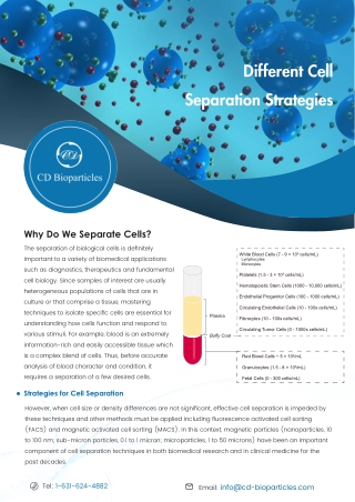 Different-Cell-Separation-Strategies