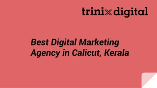 Best Digital Marketing Agency in Calicut, Kerala