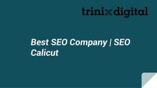 Best SEO Company | SEO Calicut