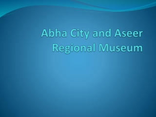 Abha City and Aseer Regional Museum