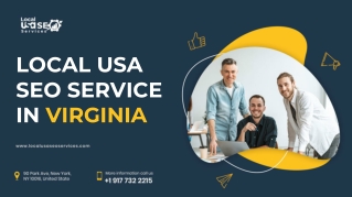 LOCAL USA SEO SERVICE IN VIRGINIA