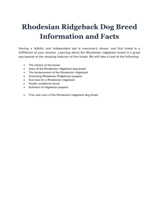 Rhodesian Ridgeback Dog Breed Information and Facts