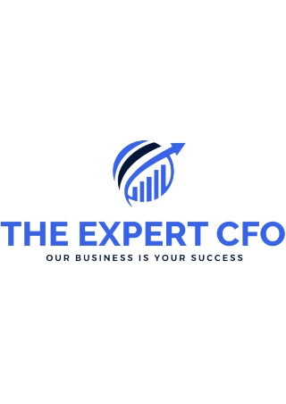 The Expert CFO