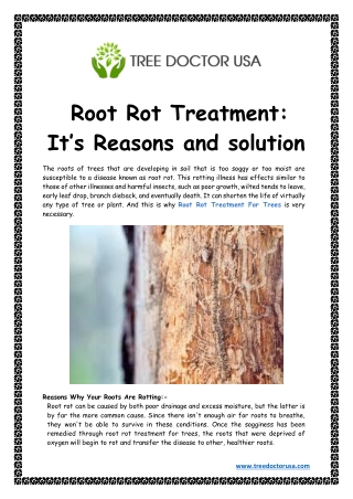 root-rot-treatment-it-s-reasons-and-solutions (1)