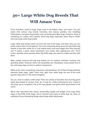 30  Large White Dog Breeds That Will Amaze You