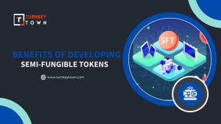 How to accelerate the development of your semi-fungible tokens