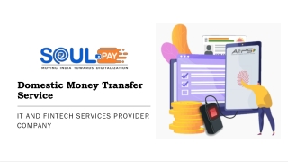 Online Money Transfer Businesses Application! Fintech Store