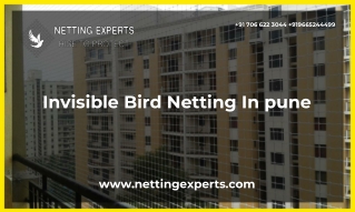 Invisible Bird Netting In pune