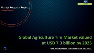 Agriculture Tire Market valued at USD 7.3 billion by 2025