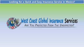 Looking for a Quick and Easy Insurance Service in Mexico